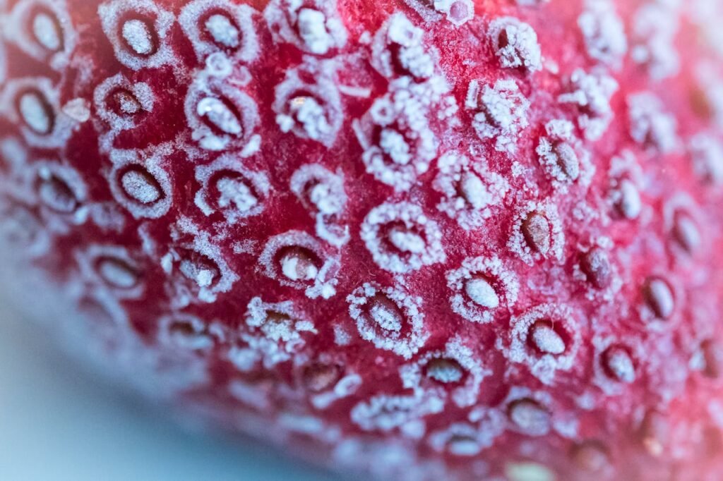 Frozen Strawberry in Close Up Shot