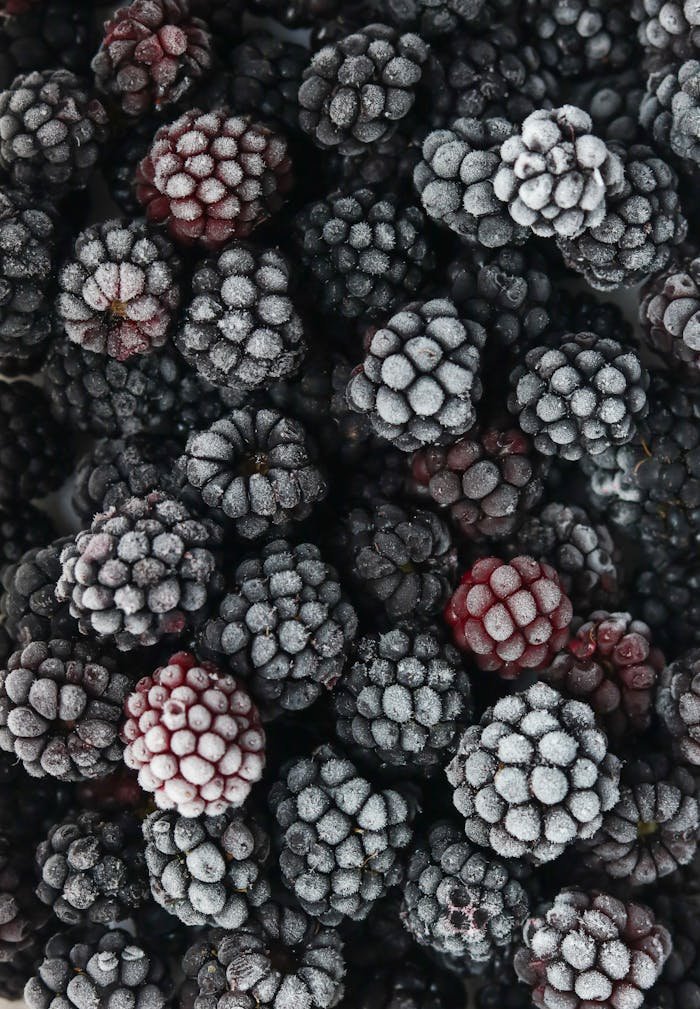 Close up of Frozen Blackberries